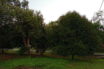 KALUMPANG HULU SELANGOR AGRICULTURAL LAND