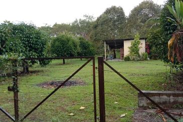 KALUMPANG HULU SELANGOR AGRICULTURAL LAND