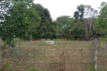 KALUMPANG HULU SELANGOR AGRICULTURAL LAND