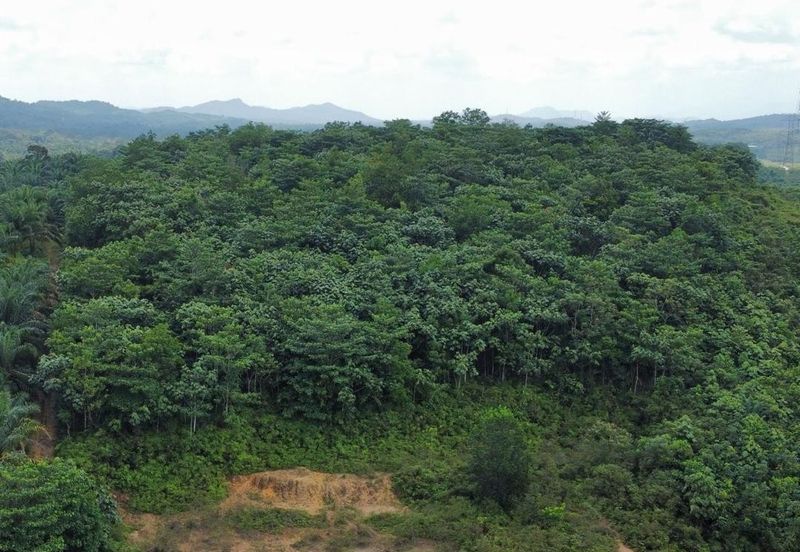 Kampung Baru, Hulu Bernam