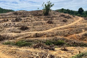 Bandar Bukit Beruntung