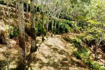 TAMAN BUKIT SEMANTAN