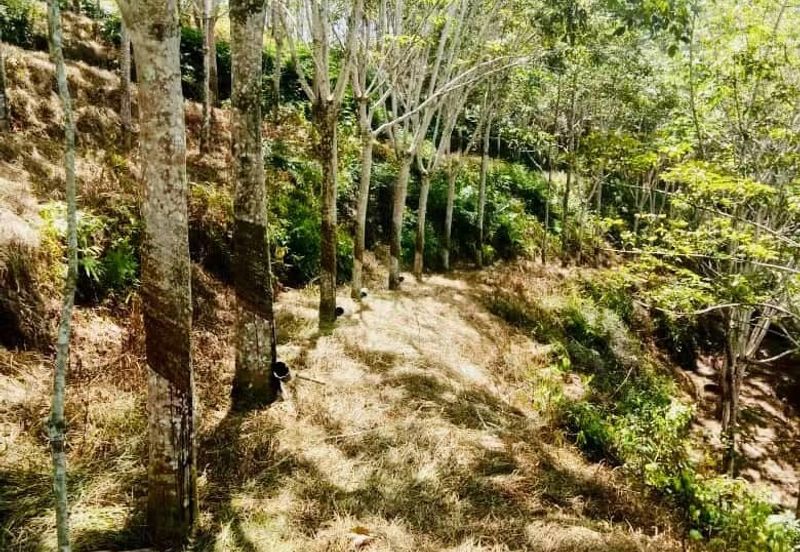 TAMAN BUKIT SEMANTAN