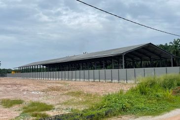 Big  spacious  3 acres warehouse  1000Amp at mukim ijok to let , kuala selangor, eco puncak alam, alam jaya, meru , klang 