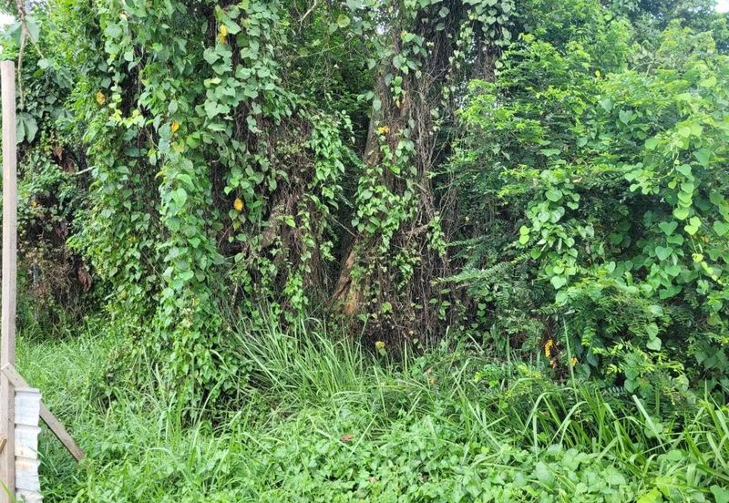 Bukit Beruntung Industrial Park