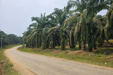 Batang Berjuntai @ Bestari Jaya