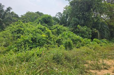 Batang Berjuntai @ Bestari Jaya