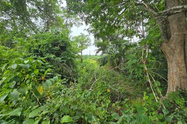 Batang Berjuntai @ Bestari Jaya