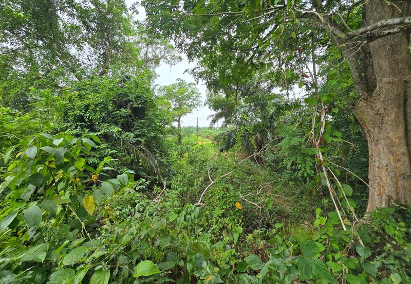 Batang Berjuntai @ Bestari Jaya