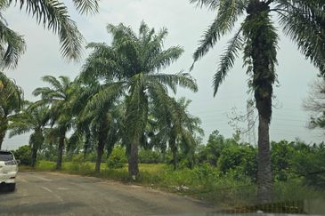 Batang Berjuntai @ Bestari Jaya