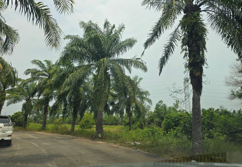 Batang Berjuntai @ Bestari Jaya