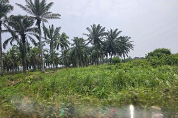 Batang Berjuntai @ Bestari Jaya