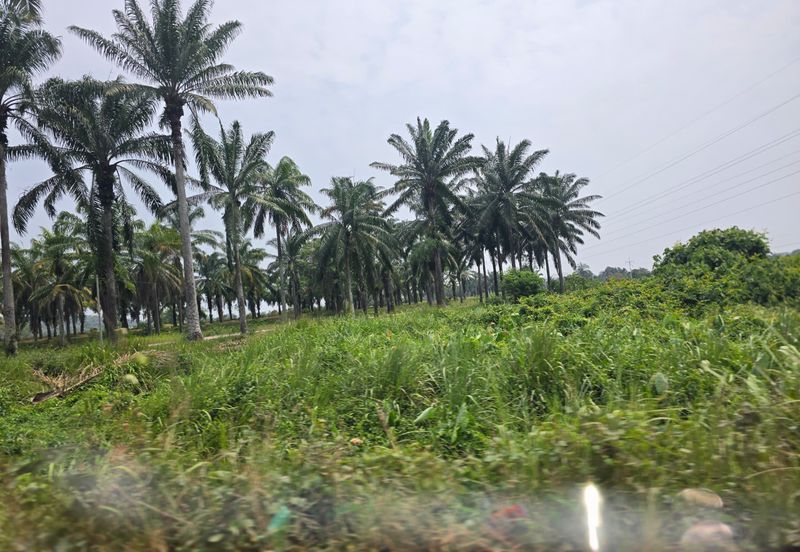 Batang Berjuntai @ Bestari Jaya