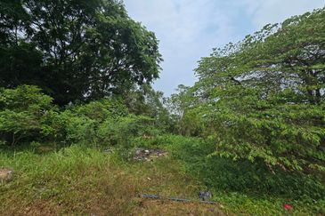 Batang Berjuntai @ Bestari Jaya