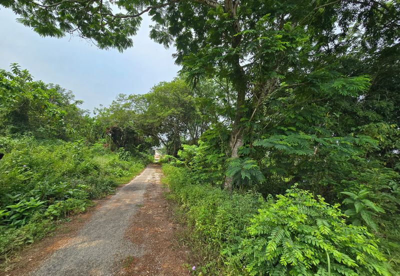 Batang Berjuntai @ Bestari Jaya