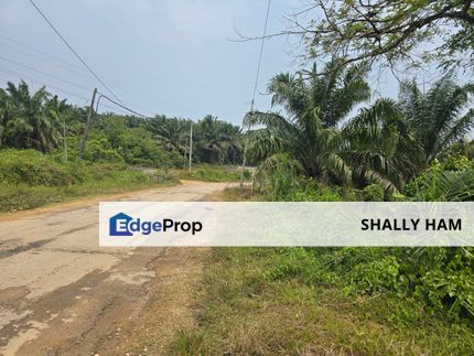 Big Freehold  land  near main road for sale at  ijok , Bestari Jaya , Selangor, Kuala Selangor