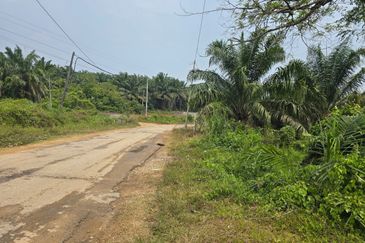 Batang Berjuntai @ Bestari Jaya