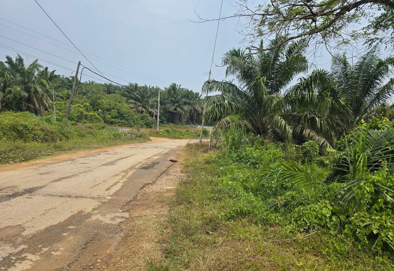 Batang Berjuntai @ Bestari Jaya