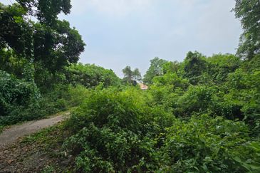 Batang Berjuntai @ Bestari Jaya