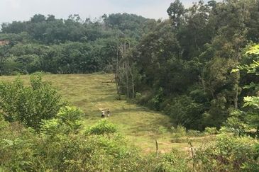 Taman Tasik Semenyih