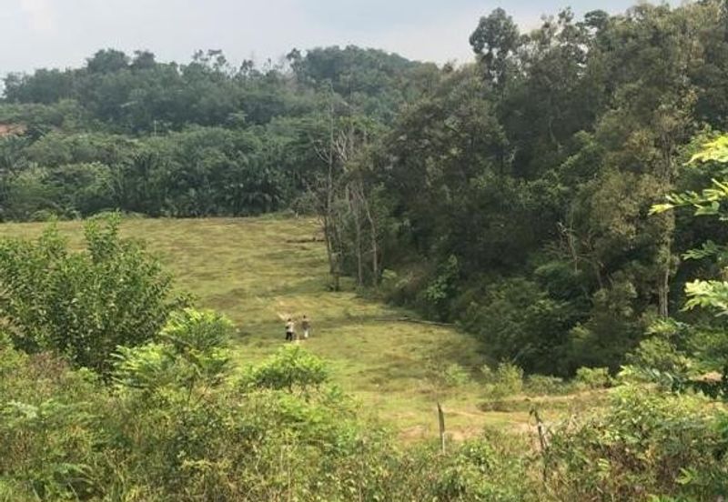 Taman Tasik Semenyih