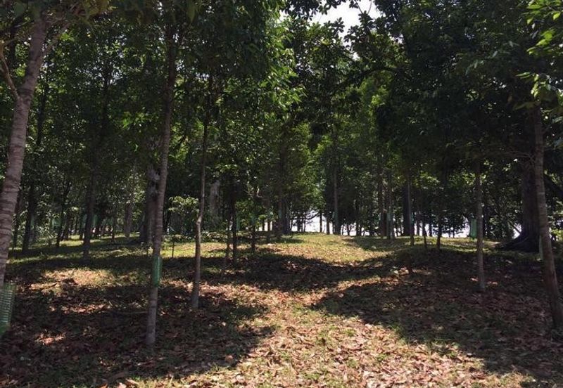 Taman Tasik Semenyih