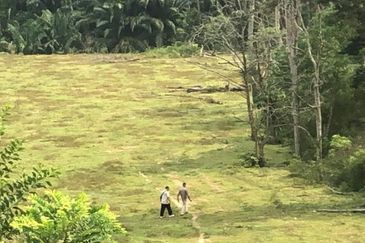 Taman Tasik Semenyih