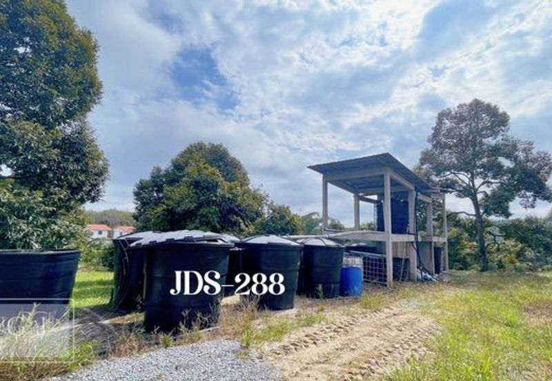 Karak Musang King Durian Farm Land