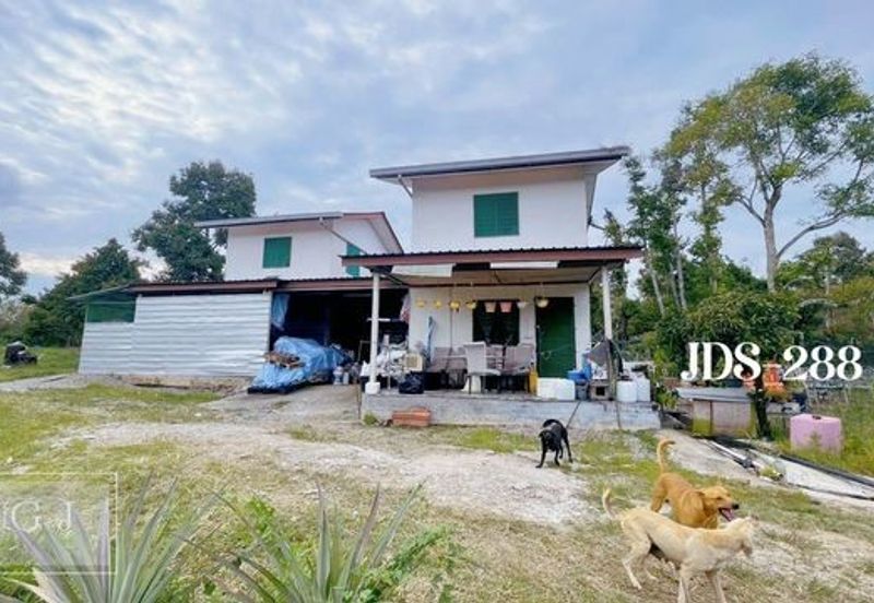 Karak Musang King Durian Farm Land