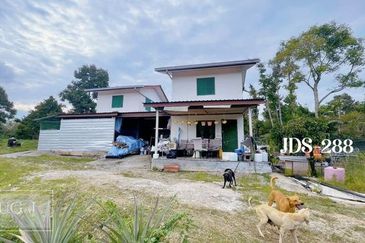 Karak Musang King Durian Farm Land