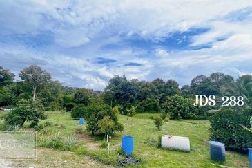 Karak Musang King Durian Farm Land