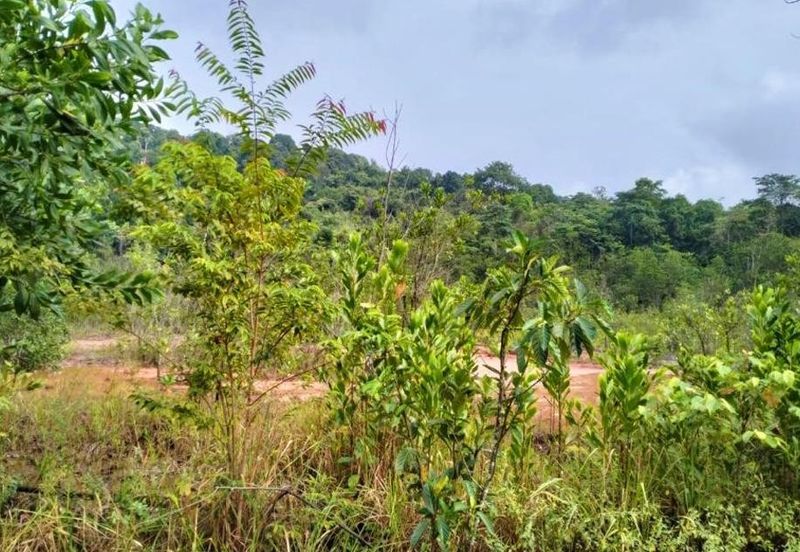 [9.83 ACRES] Hulu Selangor Bandar Rasa Medium Industrial Land