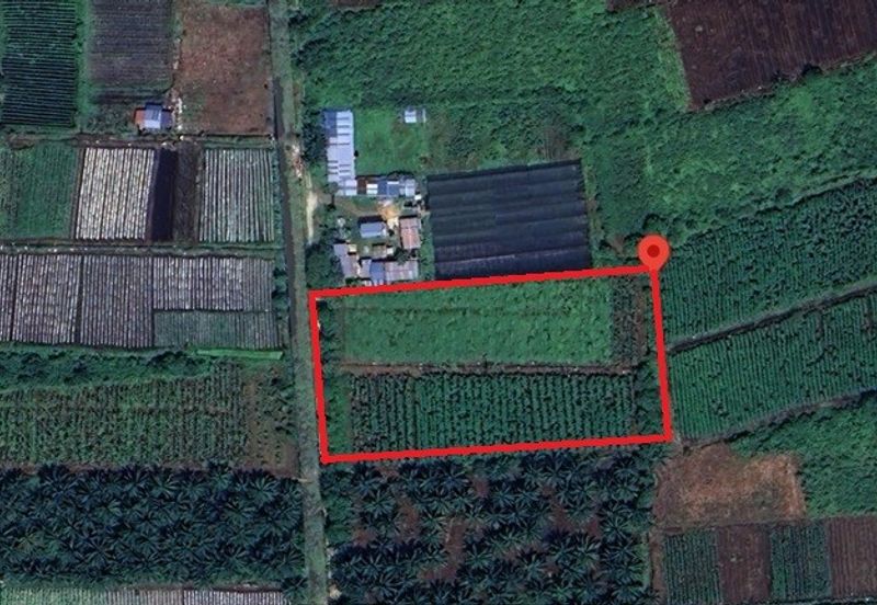 [2 ACRES] Agricultural Land Sijangkang Utama Johan Setia Klang