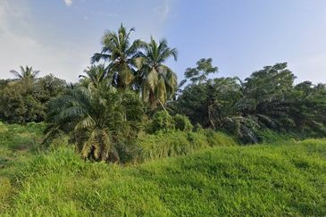 [LAND] Klang Kapar Kampung Perepat Agriculture Land 