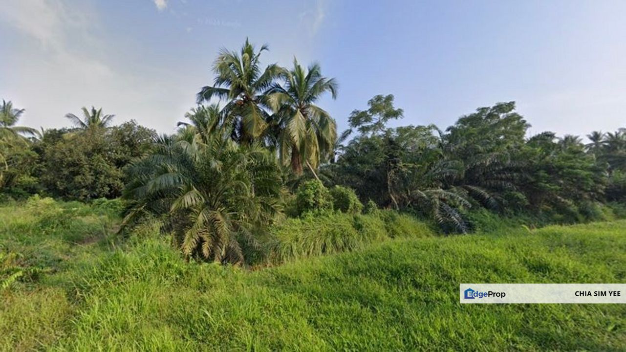 [LAND] Klang Kapar Kampung Perepat Agriculture Land , Selangor, Kapar 