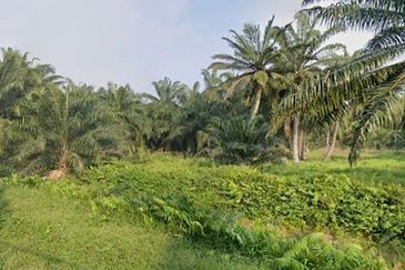 [LAND] Klang Kapar Kampung Perepat Agriculture Land 