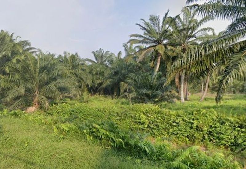 [LAND] Klang Kapar Kampung Perepat Agriculture Land 