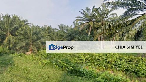 [LAND] Klang Kapar Kampung Perepat Agriculture Land , Selangor, Kapar 
