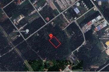 [LAND] Klang Kapar Kampung Perepat Agriculture Land 