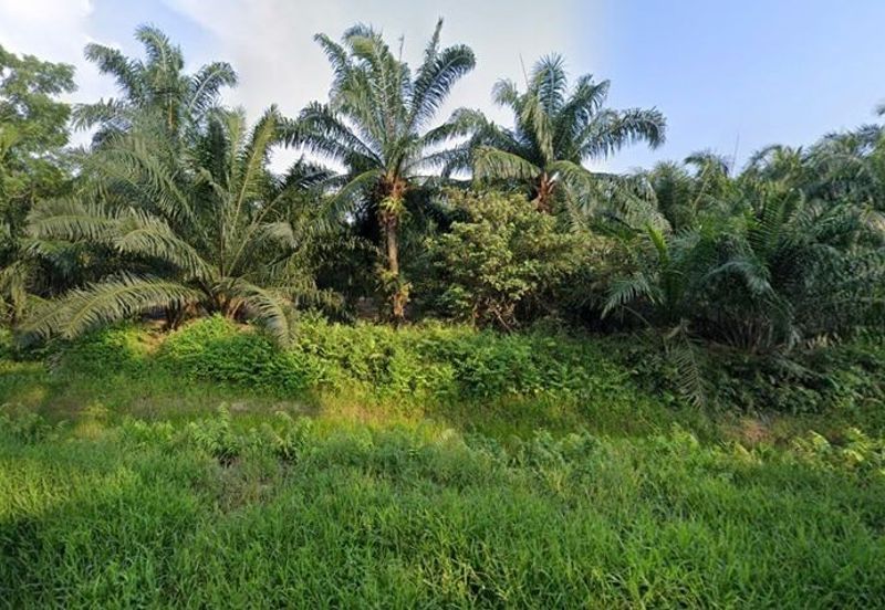 [LAND] Klang Kapar Kampung Perepat Agriculture Land 