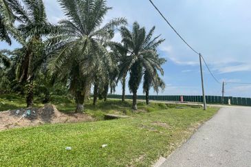 [FREEHOLD] Kuala Langat Jenjarom Agriculture Palm Oil land