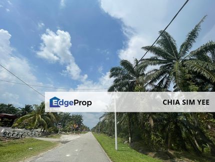 [FREEHOLD] Kuala Langat Jenjarom Agriculture Palm Oil land, Selangor, Kuala Langat