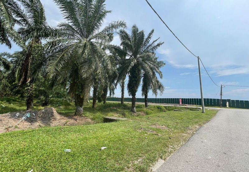 [WITH ACCESS ROAD] Kuala Langat Jenjarom Agriculture Palm Oil Land