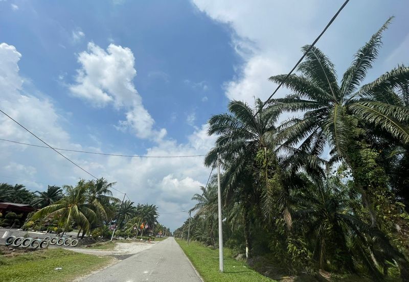 [WITH ACCESS ROAD] Kuala Langat Jenjarom Agriculture Palm Oil Land
