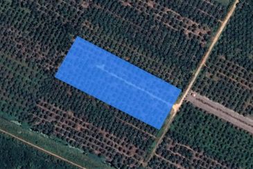 [4 ACRES] Kuala Selangor Tanjung Karang Sungai Yu Agriculture