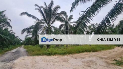 [4 ACRES] Kuala Selangor Tanjung Karang Sungai Yu Agriculture, Selangor, Kuala Selangor