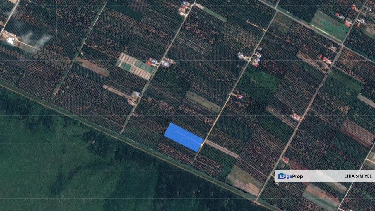 [4 ACRES] Kuala Selangor Tanjung Karang Sungai Yu Agriculture, Selangor, Kuala Selangor