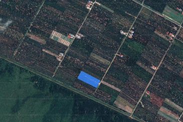 [4 ACRES] Kuala Selangor Tanjung Karang Sungai Yu Agriculture