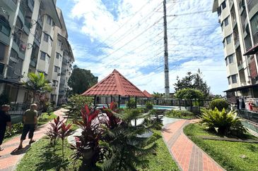 City Garden Orchid Court