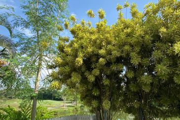 Taman Impian Gemilang